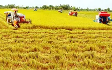 Phải trả tiền dịch vụ thủy lợi, nông dân bị ảnh hưởng gì?