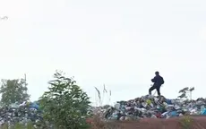 Bãi rác tạm bốc mùi, người chăn nuôi thiệt hại nặng
