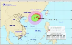 Bão số 6 diễn biến khó lường, gió giật cấp 12, biển động dữ dội