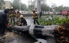 Ấn Độ: 2 người thiệt mạng trong bão Vardah