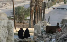 Bạo lực đã giảm sau khi lệnh ngừng bắn ở Syria có hiệu lực