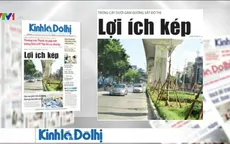 Trồng cây dưới gầm đường sắt đô thị: Lợi ích kép