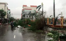 Sự kiện trong nước nổi bật (24-30/7): Bão số 1 gây thiệt hại nặng ở nhiều địa phương