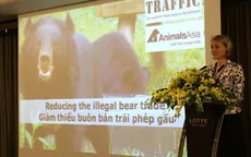 Buôn bán trái phép gấu tại Việt Nam vẫn tiếp diễn