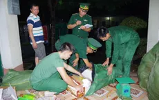 Bắt hơn 1,3 tấn thực phẩm đông lạnh chuyển trái phép qua biên giới