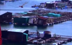 Hôm nay (9/8), Phú Yên kiểm tra việc tháo gỡ các bè nổi