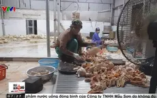 Dễ dàng mua bán tem kiểm tra vệ sinh thú y?