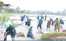 Bình Định tập trung khắc phục thiệt hại do mưa lũ