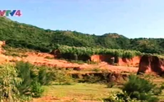 Bình Định hồi sinh những vùng đất “chết”