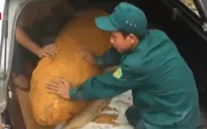 Hà Tĩnh: Phát hiện bom trong vườn nhà