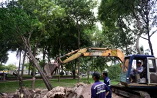 TP.HCM: Xử lý hàng chục cây xanh phục vụ thi công tuyến metro