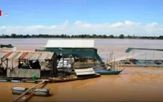 Không có chuyện ăn cá rô phi bị nhiễm độc
