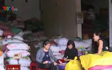 Không vay được ngoại tệ, DN xuất khẩu cà phê gặp khó