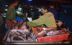 Chính phủ chỉ đạo biện pháp khắc phục thiệt hại cho ngư dân miền Trung