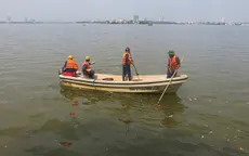 Cá chết ở Hồ Tây có thể do tầng đáy ô nhiễm nặng