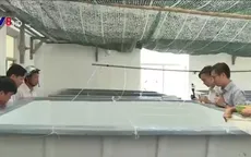 TT-Huế: Nhân giống thành công cá dìa bằng sinh sản nhân tạo