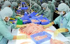 Thêm 2 doanh nghiệp Việt Nam được xuất khẩu cá da trơn vào Mỹ