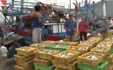 Cá sạch vẫn rớt giá