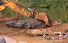 Phát hiện cá sấu dài 5m trong một con kênh tại Sri Lanka