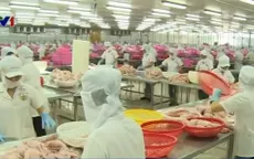Đề nghị Mỹ công nhận thêm 8 nhà máy cá tra Việt Nam đạt chuẩn