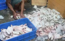 Vĩnh Long: Phát hiện 850kg cá điêu hồng bốc mùi tại quán ăn