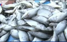 Đà Nẵng hỗ trợ ngư dân và tiểu thương hơn 2 tỉ đồng
