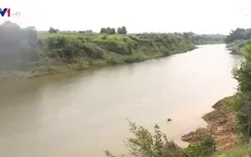 Vụ cá chết trên sông Bưởi: Đại diện nhà máy đường nhận trách nhiệm