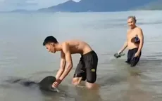 Bình Định: Hàng trăm người nỗ lực cứu hộ cá heo