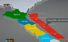 Lập bản đồ cấm khai thác cá biển tầng đáy tại 4 tỉnh miền Trung