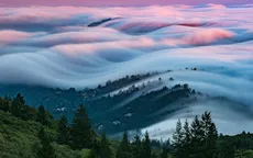 "Nghẹt thở" trước vẻ đẹp huyền ảo của San Francisco giữa làn sương mù