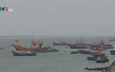 Chiều nay (28/4), Đà Nẵng sẽ có kết quả phân tích nước biển