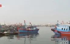 TT-Huế: Tàu đánh bắt xa bờ công suất lớn tăng mạnh