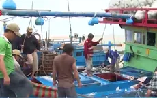 Vướng mắc trong triển khai đề án sản xuất cá ngừ theo chuỗi