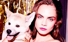 Cara Delevingne khoe vẻ gợi cảm bên thú cưng