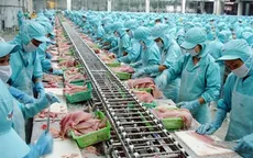Bỏ quy định DN cá tra phải nộp hợp đồng xuất khẩu