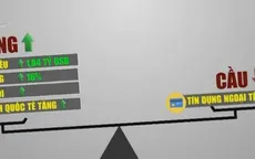 Cung - cầu USD 7 tháng đầu năm duy trì ổn định