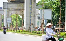 “Trồng cây xanh dưới đường sắt trên cao không ảnh hưởng đến hành lang an toàn đường sắt”