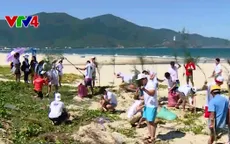 Đoàn thanh niên sinh viên kiều bào tham gia trồng cây tại Đà Nẵng