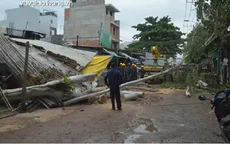 Cây xanh ngã đổ giữa chợ tại TP.HCM, 1 người bị thương