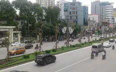Chọn cây gì cho dự án 1 triệu cây xanh ở Hà Nội?