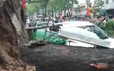 Cây xanh ngã đổ đè chết người: Trách nhiệm thuộc về ai?
