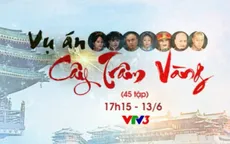Ly kỳ "Vụ án cây trâm vàng" trên VTV3