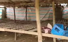 Quảng Bình: Hàng trăm trang trại trống trơn sau trận lũ dữ