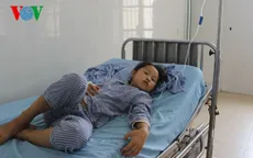 Sơn La: 4 người ngộ độc do ăn nấm dại