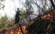 Nhiều diện tích rừng Cà Mau ở mức cảnh báo cháy cấp 4, 5