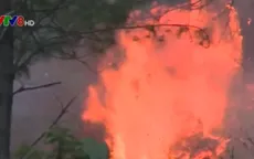 Gia Lai: Cháy rừng trên đèo Mang Yang