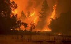Cháy rừng ở Los Angeles, 5.000 người phải sơ tán