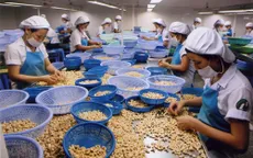 Thiếu nguyên liệu điều, nhiều DN sản xuất dè chừng