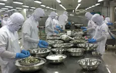 Nhiều nhà máy chế biến thủy sản ở Cà Mau thiếu tôm nguyên liệu
