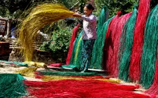 Làng chiếu cói Phú Tân rực rỡ sắc màu những ngày vào mùa